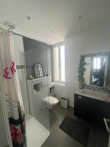 une salle de bain avec une douche, des toilettes et un lavabo dans l'établissement Appartement Type 3 La Ciotat, à La Ciotat