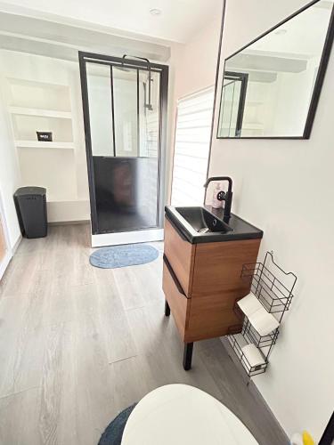 une salle de bain avec un lavabo et un miroir dans l'établissement Maison Cosy , parking gratuit , 5 min aux Auxerre, à Auxerre