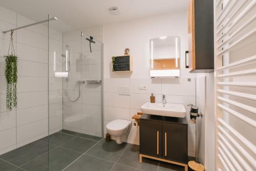 e bagno con servizi igienici, lavandino e doccia. di Modernes 2-Zimmer Themen-Apartment "Frankenwald" im Zentrum a Bayreuth