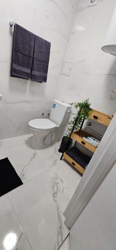 een witte badkamer met een toilet en een wastafel bij Rarina House in Braşov