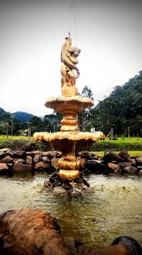 a fountain with a lion on top of it at Pousada Nó de Pinho in Urubici