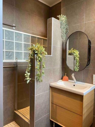 une salle de bain avec un lavabo et une douche avec un miroir dans l'établissement Le Central - Parking Privé, à Douai