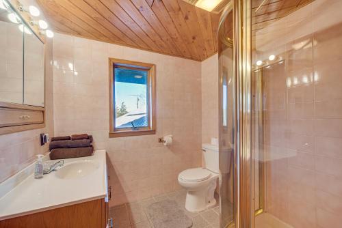 y baño con aseo, lavabo y ducha. en Secluded Log Cabin Less Than 1 Mi to Munger State Trail!, en Finlayson