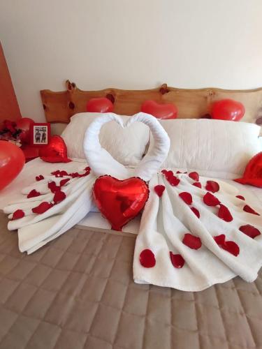 a bedroom with two beds with hearts on them at Pousada Nó de Pinho in Urubici