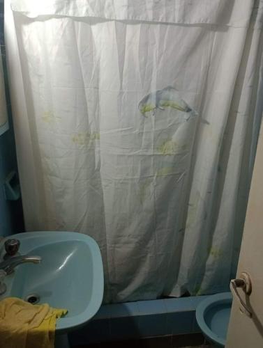 baño con lavabo y cortina de ducha en La cabaña en Mar de Ajó