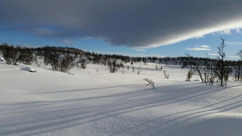 a snow covered field with trees in the distance at Bjørnebuhytten, Geilo, 13 sengeplasser med privat Jacuzzi og el-bil-lading in Geilo