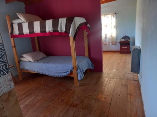 a bedroom with a bunk bed in a purple wall at Departamento Draiggoch in Trevelin