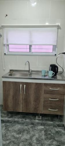 eine Küche mit einer Spüle und einer Arbeitsplatte in der Unterkunft El jacaranda Alojamiento Diario in San Luis