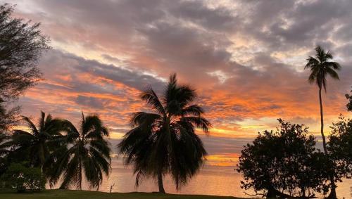 a group of palm trees in front of a sunset at SUNSETVIEW, studio, private beach, amazing swim & sunset in Haapiti