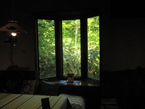 a window in a room with a view of trees at Bistare Kana in Niseko