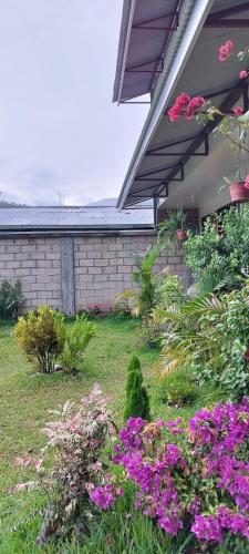a garden with pink flowers in front of a house at Hospedaje Oxa Paraíso in Oxapampa