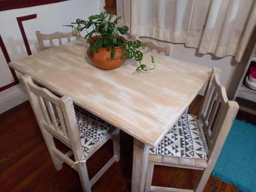 une table en bois avec une plante en pot au-dessus dans l'établissement Dante y compañia, à Buenos Aires