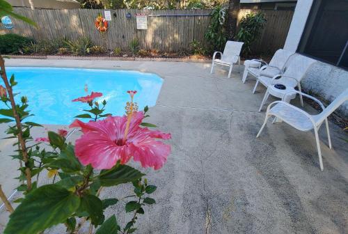 a group of chairs and a pink flower next to a swimming pool at Getaway in a Spacious Pool Home in Tampa