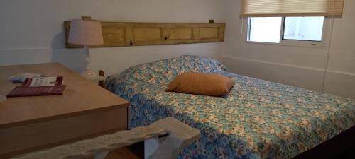 um quarto com uma cama com uma almofada e uma secretária em Apartamento Loft centro de San Jose em San José