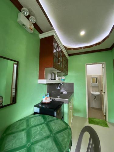 a kitchen with green walls and a sink and a counter at Merangie Travellers Inn in Dauis