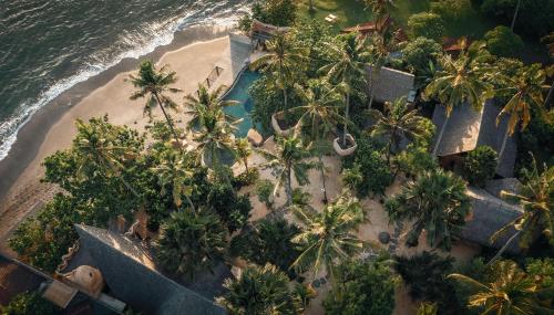 The Seed Bali – Photos 4