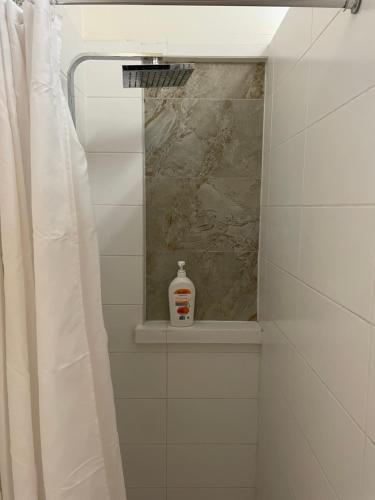 a bathroom with a shower with a bottle of soap at Bairnsdale Workers Accommodation in Lucknow