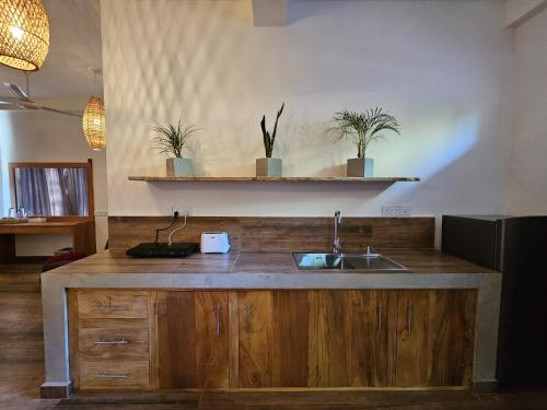 a kitchen with a sink and two potted plants at Sri Palms in Kosgoda