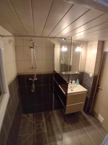 une salle de bain avec douche et lavabo dans l'établissement O P Ty logis du Tregor, à Pédernec