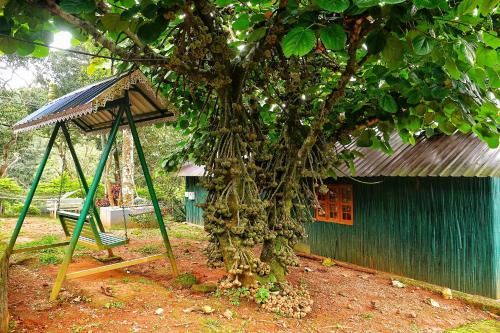 a tree with a swing in front of a house at Hill Valley Farm House in Nelliyampathy