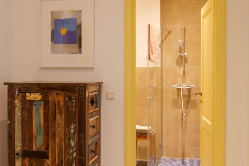 a bathroom with a shower and a wooden cabinet at Goldener Löwe in Bodman-Ludwigshafen