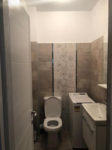a small bathroom with a toilet and a sink at Apartament cu 3 camere Rovine in Craiova