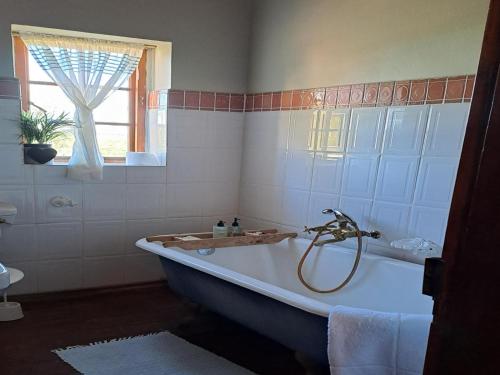 eine Badewanne im Bad mit Fenster in der Unterkunft Portland Manor in Rheenendal