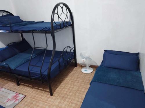 Zimmer mit 2 Etagenbetten und einem Sofa in der Unterkunft Mines and Wright Transient in Baguio City