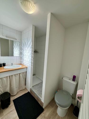 une salle de bain avec une douche, des toilettes et un lavabo dans l'établissement Appartement hyper centre, à Rodez
