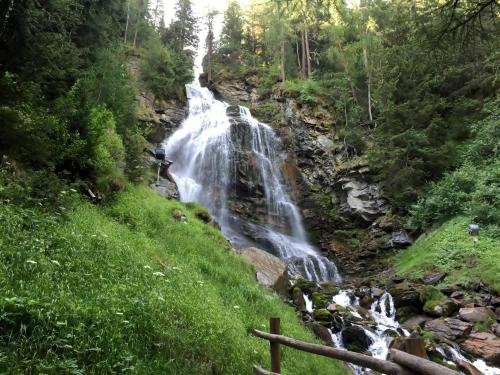 a waterfall in the middle of a forest at Affittacamere Buenavista Guest House in Champoluc
