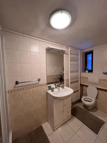 y baño con lavabo y aseo. en Apartman u Lukyho en Vysoké Tatry