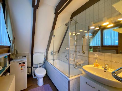 a bathroom with a sink and a toilet and a mirror at Ferienhaus Geißler Oslo in Molberting