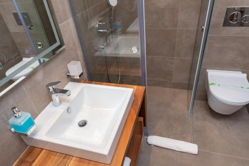 a bathroom with a sink and a toilet at Aparthotel Poljice in Jahorina
