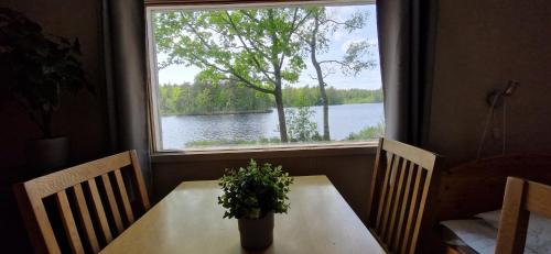 a table with a potted plant sitting in front of a window at Långasjönäs Camping & Stugby in Karlshamn