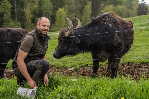 a man kneeling in a field next to a cow at Mahorko Wein Wellness Wasserbüffel in Glanz an der Weinstraße 