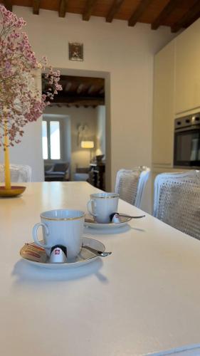 Kuchyň nebo kuchyňský kout v ubytování Tuscany Design Apartment