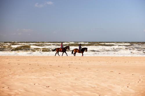 two people are riding horses on the beach at Bloemendaal Hotel Collection Apartments in Bloemendaal