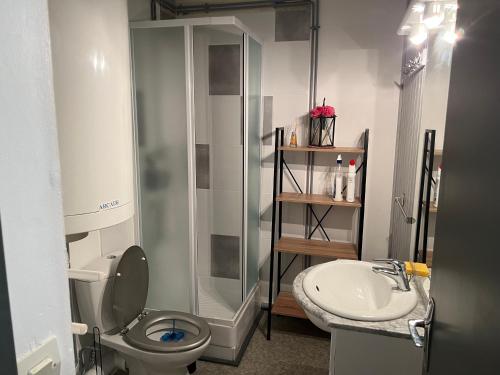 Koupelna v ubytování STUDIO LES IZARDS