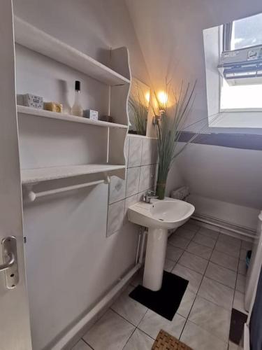 Baño blanco con lavabo y aseo en Appartement cozy avec mezzanine, en Souppes-sur-Loing