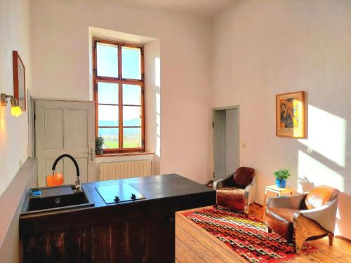 的住宿－Stylish Getaway at Austrian Renaissance Castle，一个带水槽的厨房和一张沙发