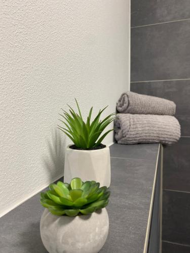 two white vases with plants on a counter in a bathroom at Wood II Appartement in Bad Salzuflen