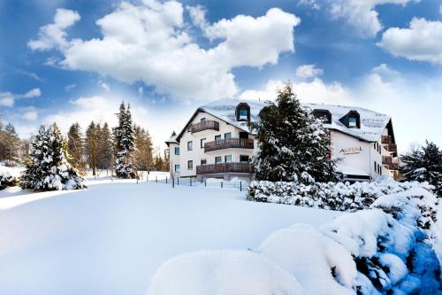 AVITAL Resort iarna