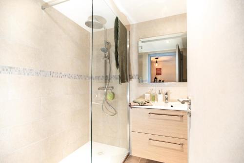 une salle de bain avec douche et lavabo dans l'établissement Centre Ville - L'évidence - Parking, à Colmar