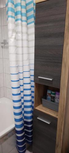 a bathroom with a blue and white shower curtain at Moderne Ferienwohnung in Schwandorf in Schwandorf in Bayern