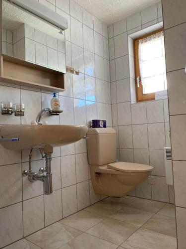 Chalet Bellwald tesisinde bir banyo