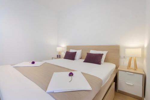 Apartnent Zorka1