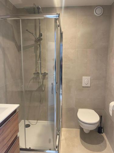 une salle de bain avec douche et toilettes dans l'établissement Le Brasilia - Appartement neuf pour 4 personnes avec terrasse, à Strasbourg