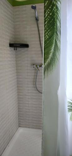 a shower with a shower head in a bathroom at PicuAstur in Cangas de Onís