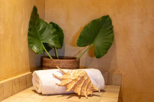 a bathroom with a towel and a plant at Collection Luxury Accommodation: Quinta Do Sol, Vilanculos, Mozambique in Vilanculos
