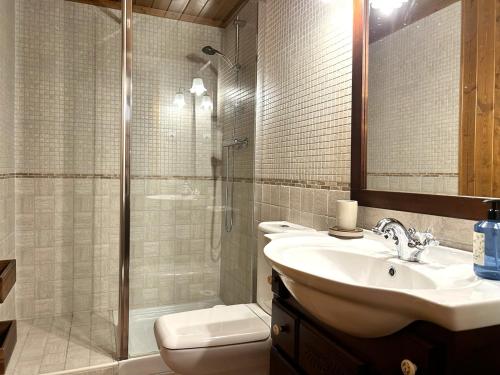 a bathroom with a shower and a sink and a toilet at Àtic de luxe i rústic a Esterri d'Àneu by RURAL D'ÀNEU in Esterri d'Àneu